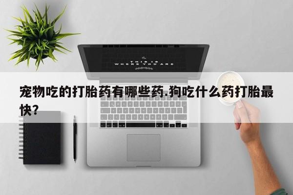 米非米索怎么买宠物吃的打胎药有哪些药.狗吃什么药打胎最快？