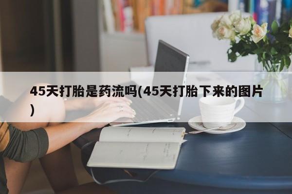 admin 第901页