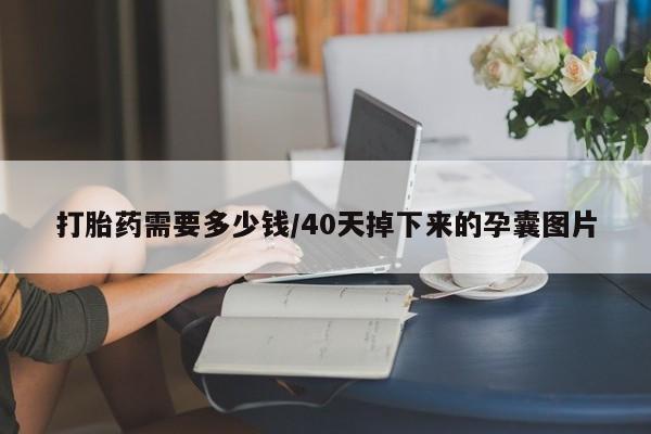 米非米索怎么买打胎药需要多少钱/40天掉下来的孕囊图片